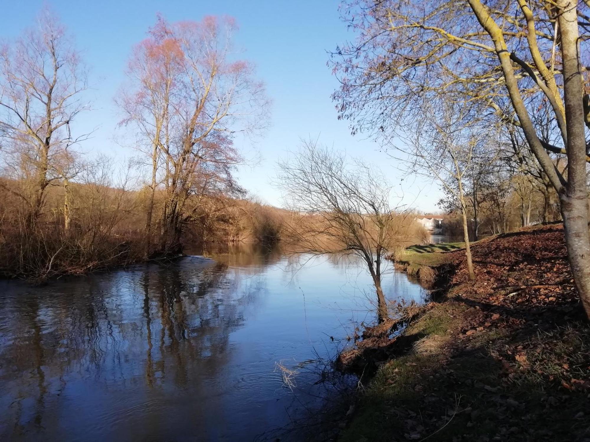 Chambres D'Hotes La Tuilerie Blainville-sur-l'Eau Bagian luar foto